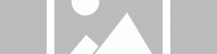 Sally Dorasnow – Silver Wolf