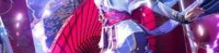 桥本环沫 2套写真视频资源合集-[307MB]