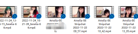 amenlia 福利资源合集-[6V-14.3G]