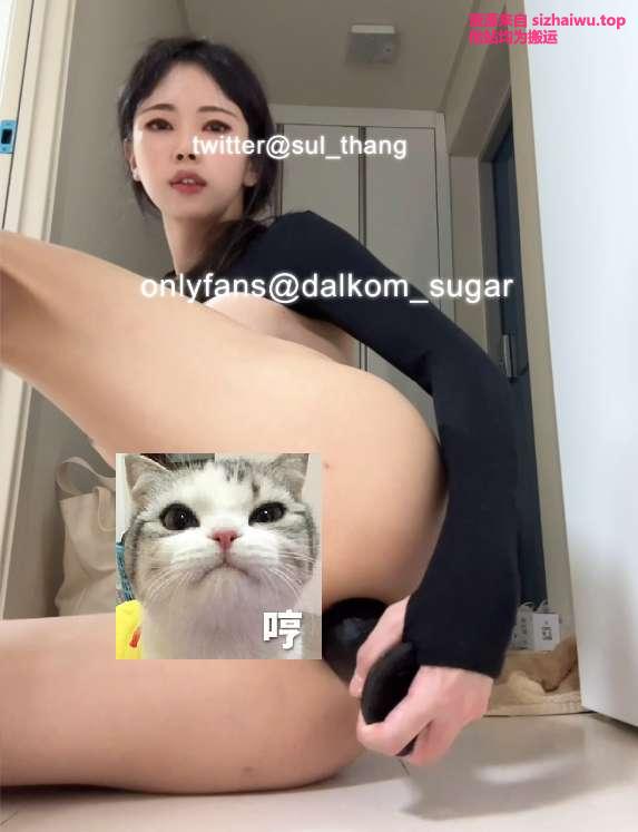 图片[2]-dalkom_sugar 合集下载-[496P-130V-117.88GB]-绅士次元